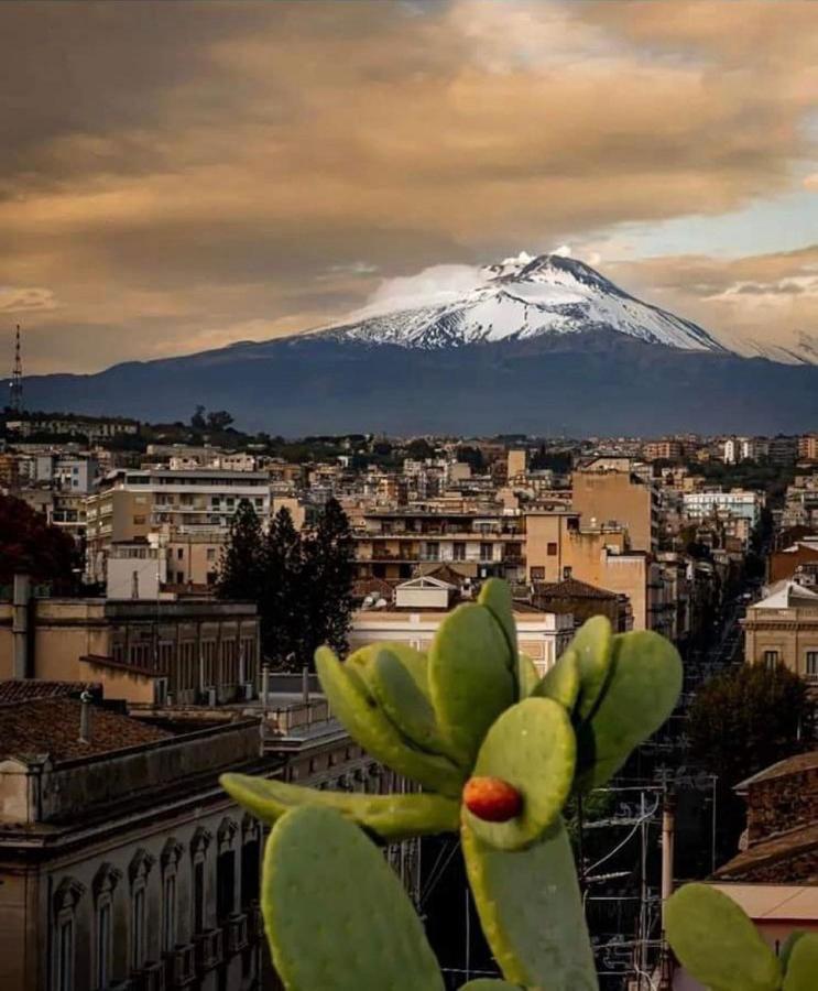 Catania Apartment Borgo Suite Autonomous Eksteriør billede